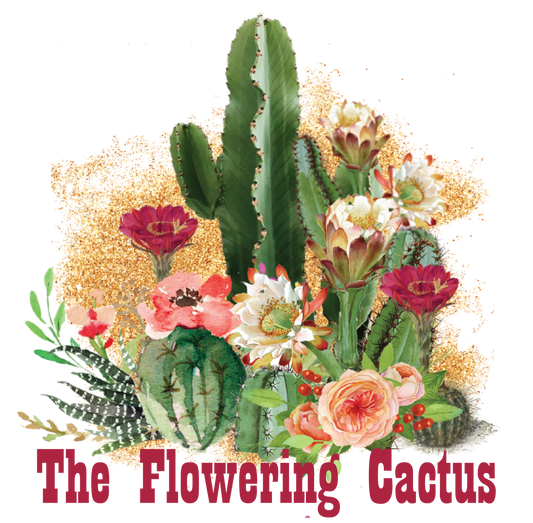 Flowering Cactus Gift Card